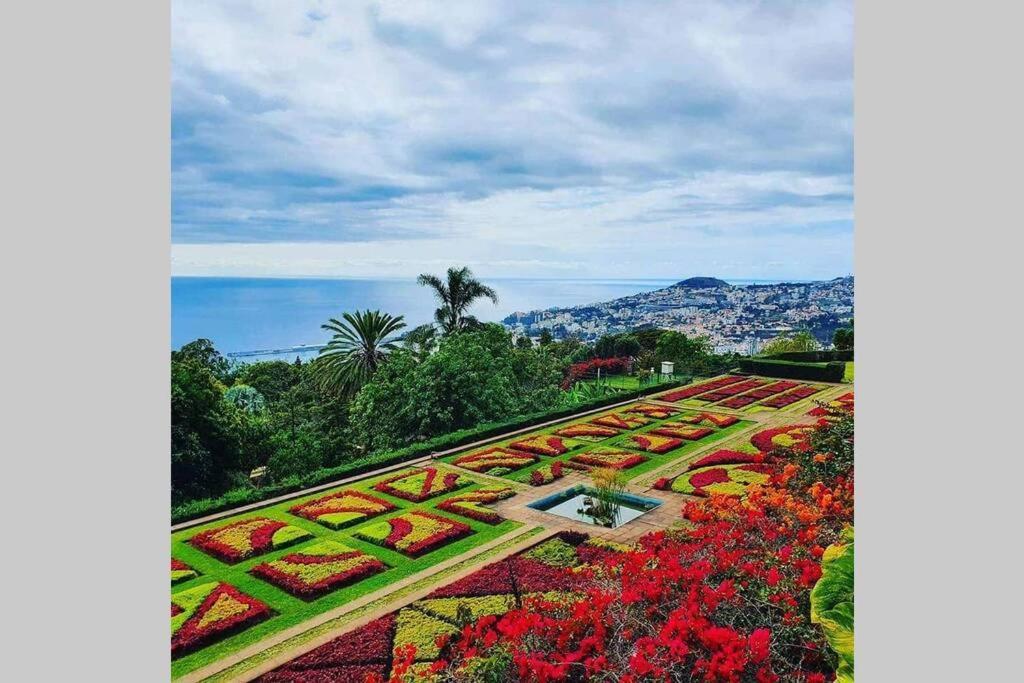Funchal Center Apartment II Exteriér fotografie